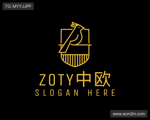关于zoty中欧体育